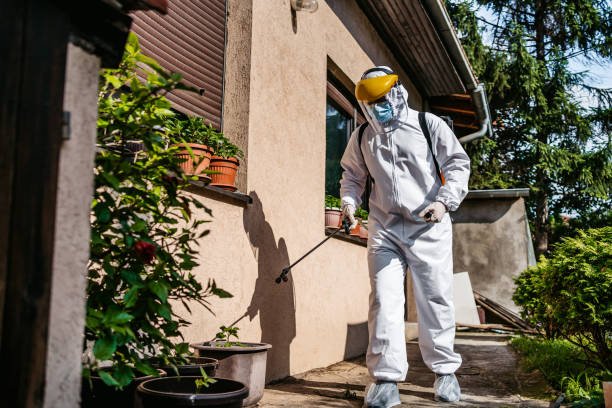 Best Emergency Pest Control  in Mshall, AR